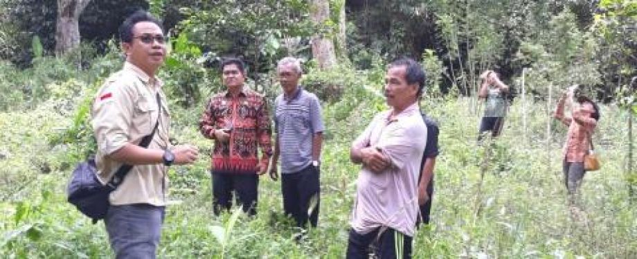 KADISTAN TPH KALBAR KUNJUNGI POHON INDUK TUNGGAL DURIAN SERUMBUT