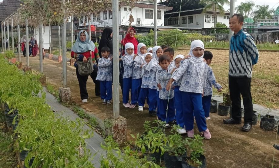 Kegiatan Kunjungan Belajar TK Bustanul Athfal 2 Pontianak ke Kebun Ayo Bertani Dinas Tanaman Pangan dan Hortikultura Provinsi Kalimantan Barat