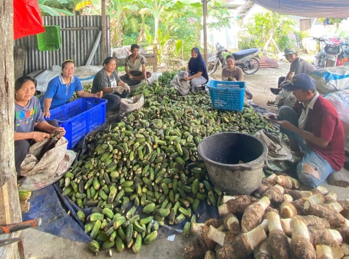 pengolahan hasil pertanian